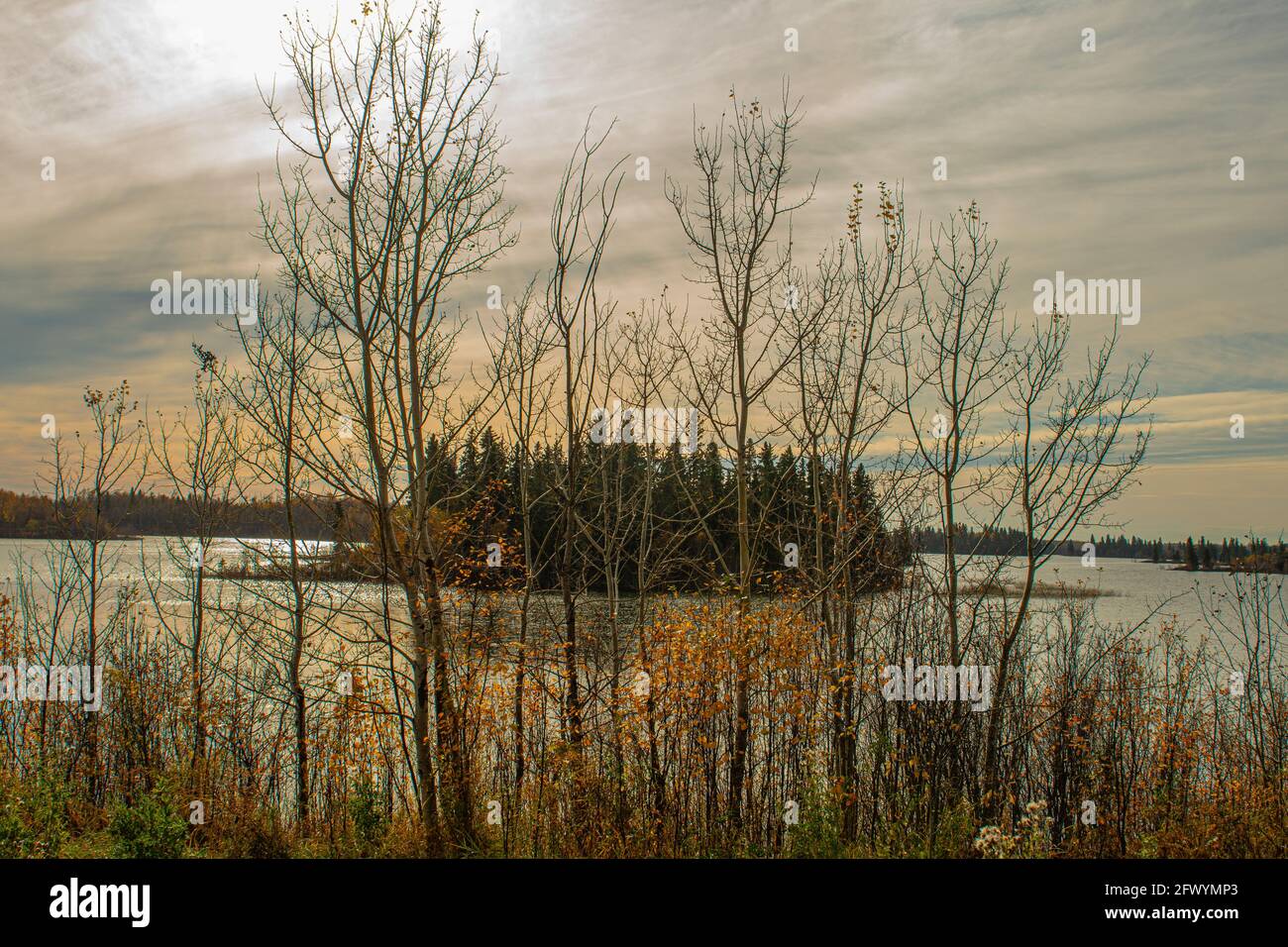 ELK Island, Alberta, Canada Stock Photo