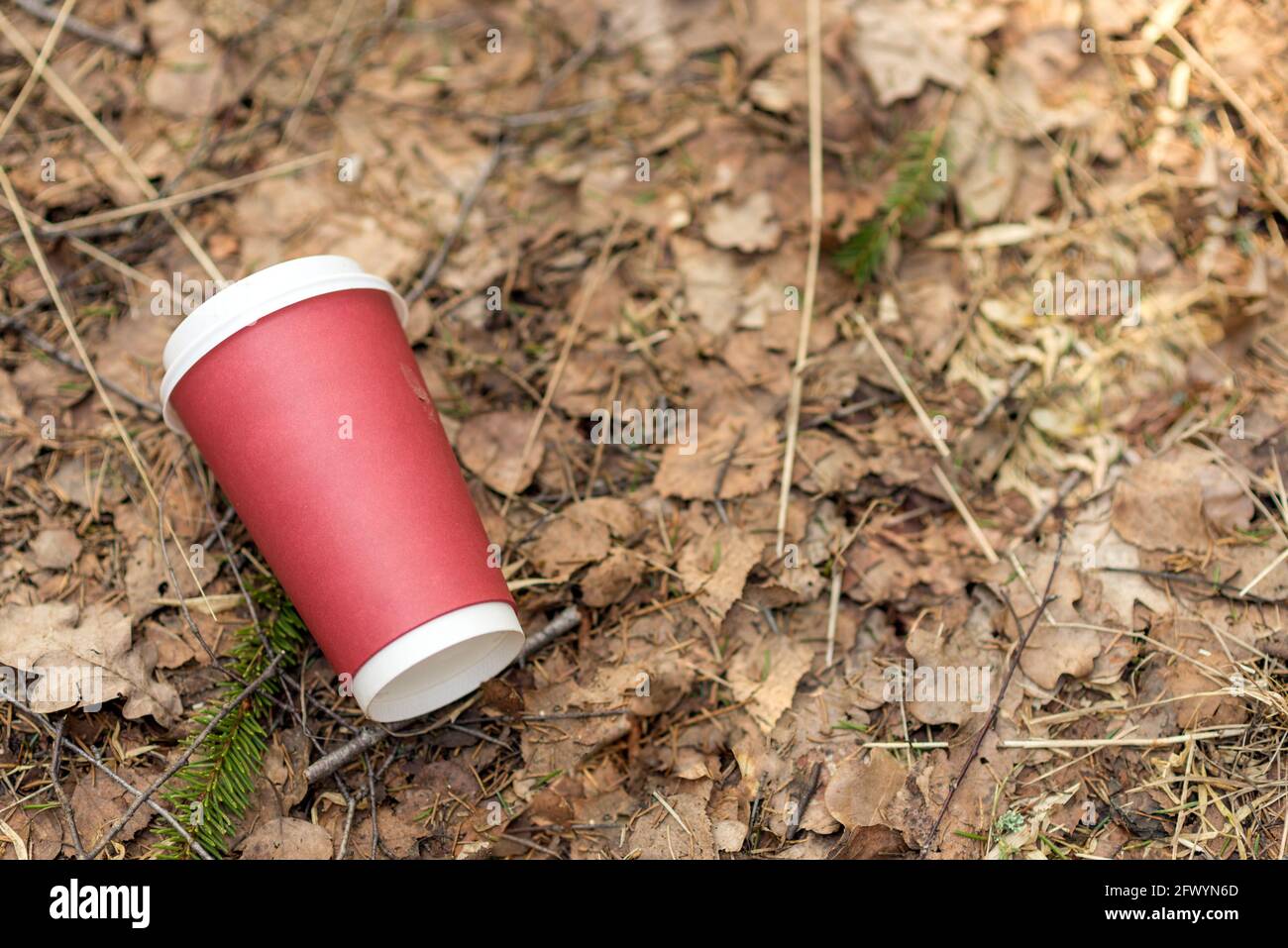 jeg lytter til musik pubertet det er nytteløst Paper cup with coffee or drink outdoor on a background of forest nature.  People left behind trash. The concept of pollution of nature and the  environm Stock Photo - Alamy