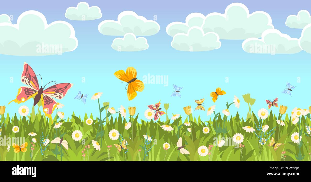 Meadow with wildflowers and butterflies. Seamless illustration. Grass  close-up. Green landscape. Summer sky. Cartoon style. Flat design. Flowers  Stock Vector Image & Art - Alamy