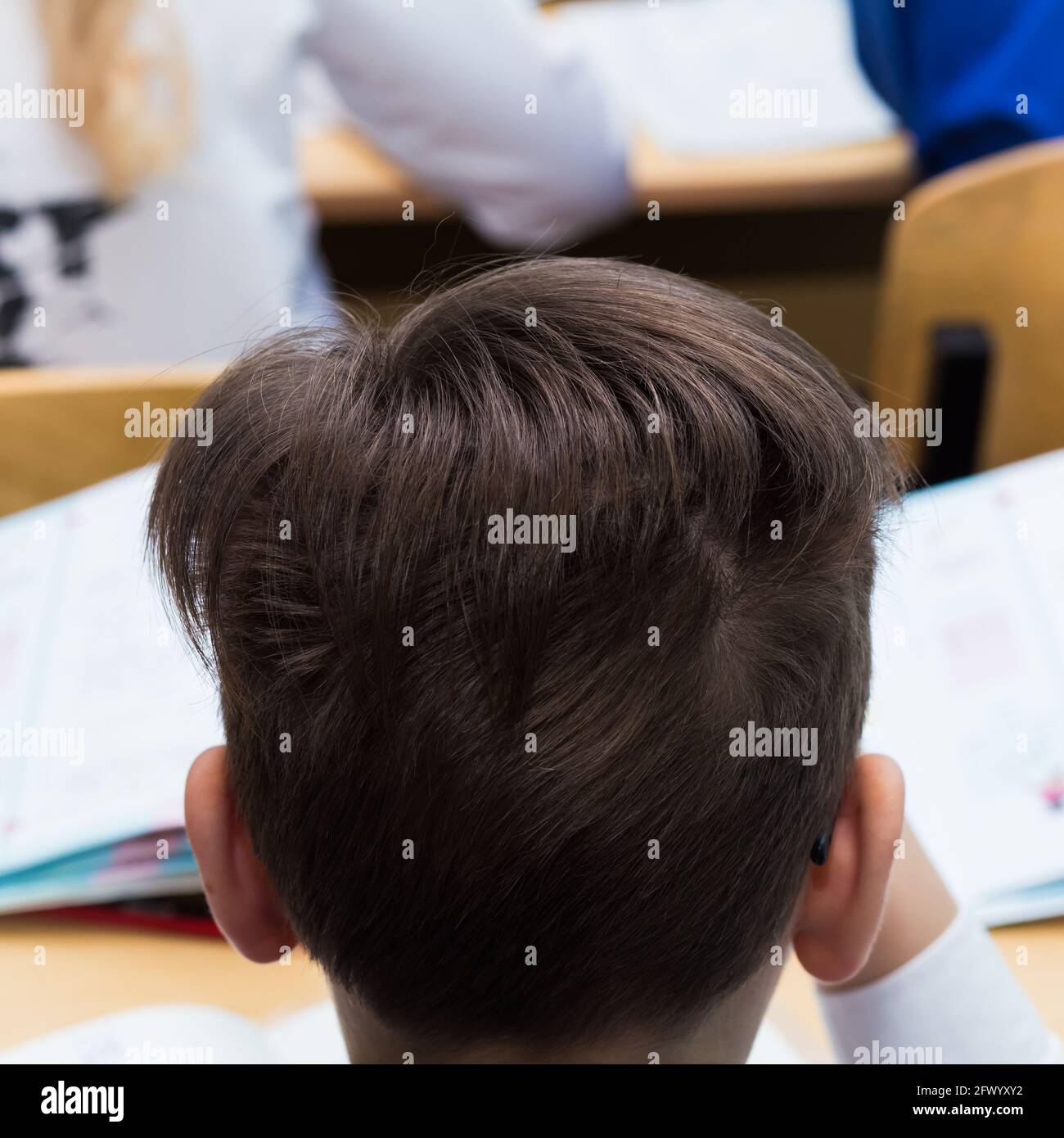 The back of the head of a boy with lush hair on the crown. Close-up of a  hairstyle on a child's head. Back view of the hairstyle of a man with a