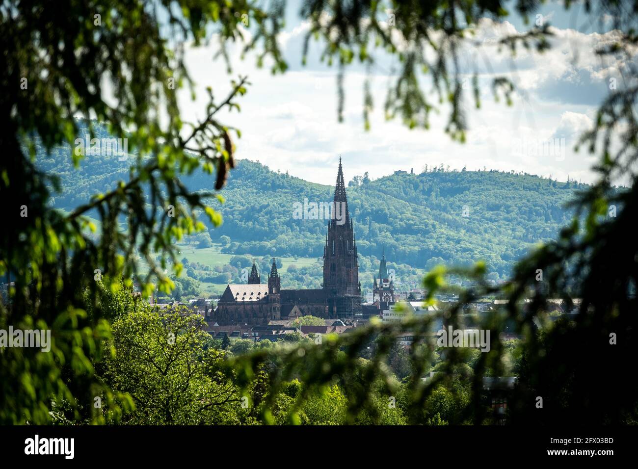 View towards Minster of Freiburg Stock Photo