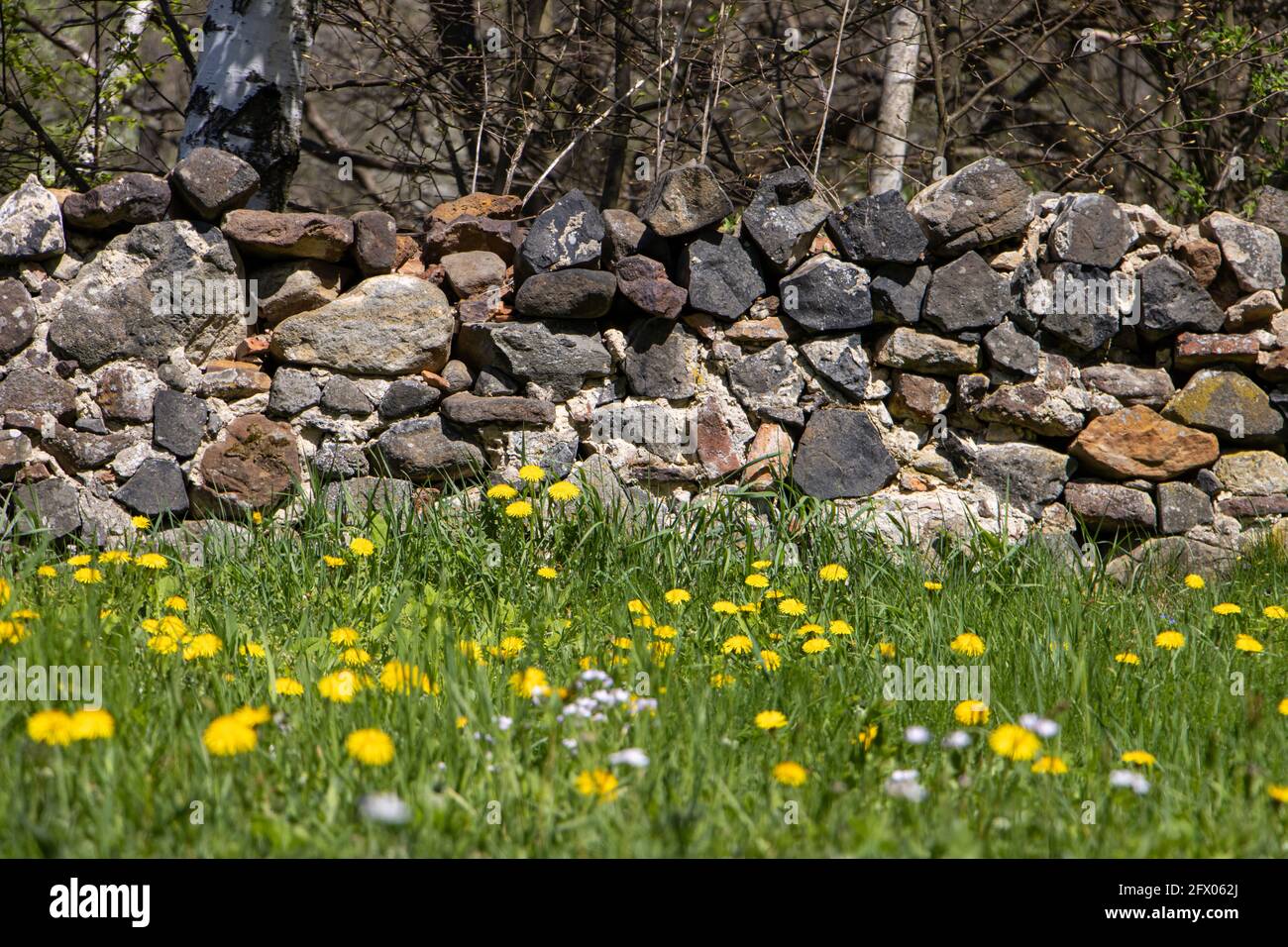 Old stone wall on the border of a green meadow. Stock Photo