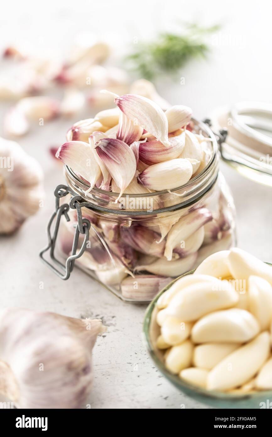 Garlic concept consisting of a jar full of lovely aromatic garlic
