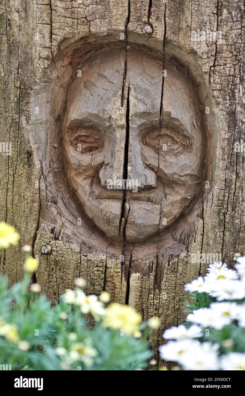 Sculpted trunk hires stock photography and images Alamy