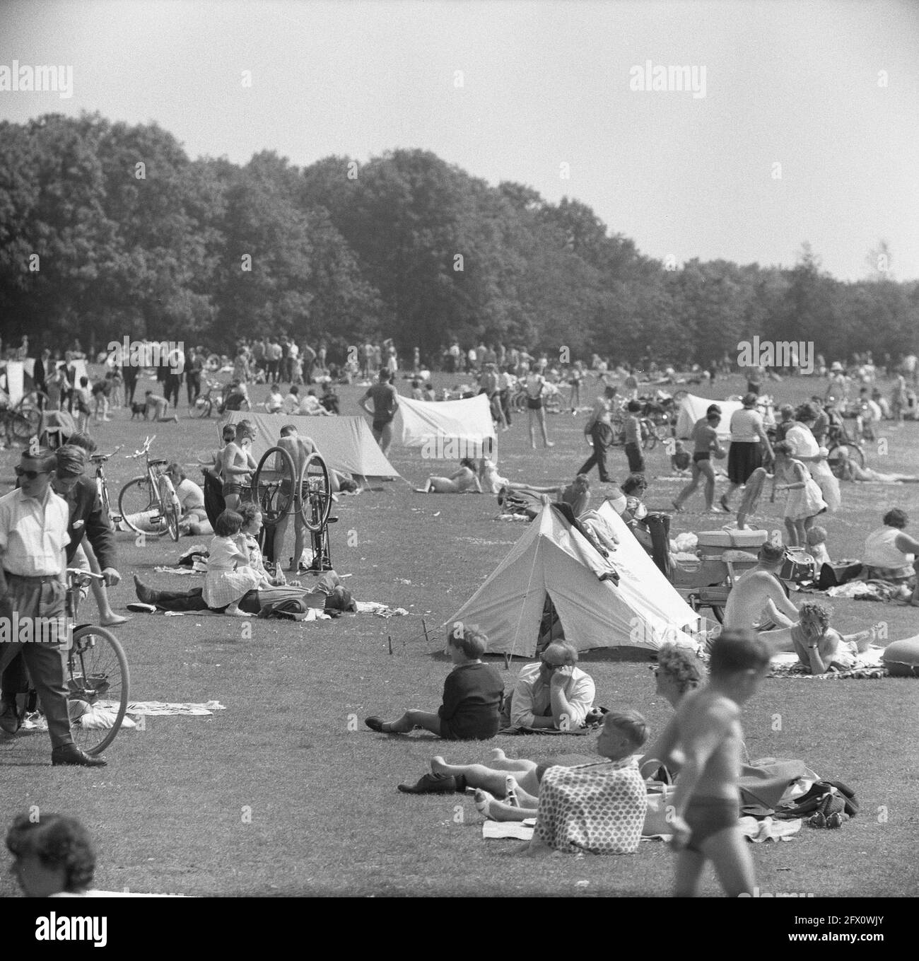 Sunbathing in Amsterdams Bos, 8 July 1962, SUNBATHING, forests, The