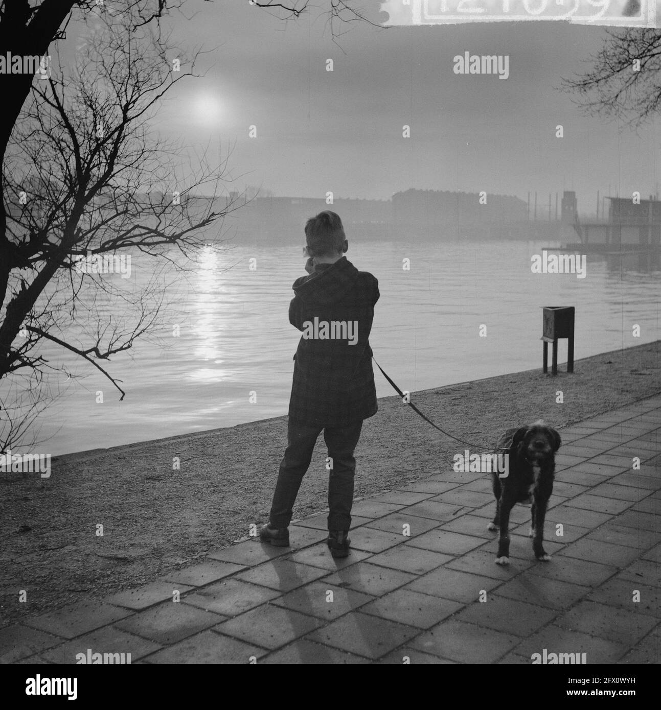 Solar eclipse over Amsterdam, boy and dog, February 15, 1961, JONGEN, Solar  eclipses, dogs, The Netherlands, 20th century press agency photo, news to  remember, documentary, historic photography 1945-1990, visual stories,  human history