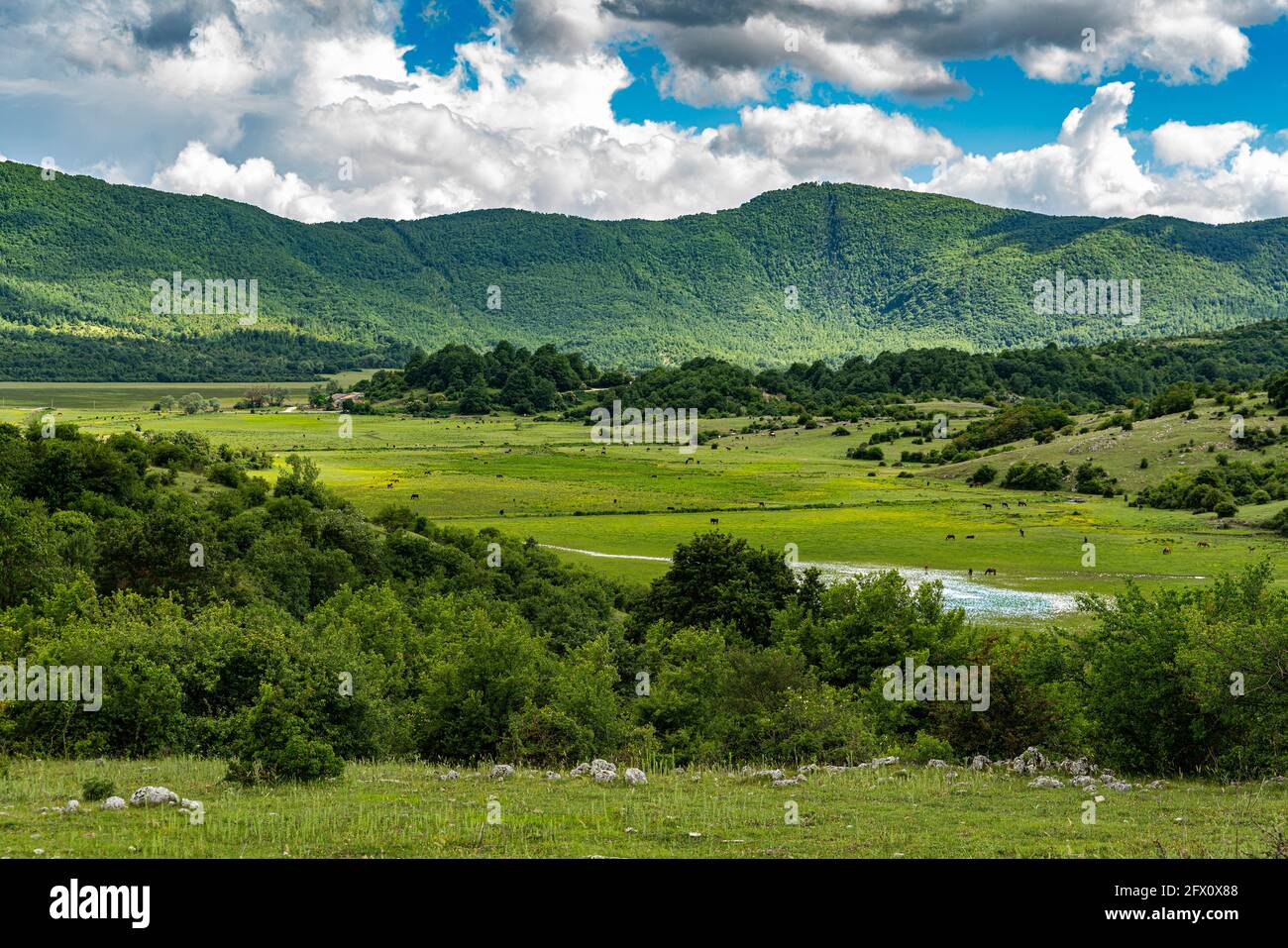The valley called Pantano della Zittola where peat is produced to generate energy. Montenero Valcocchiara, Molise region, Italy, Europe Stock Photo