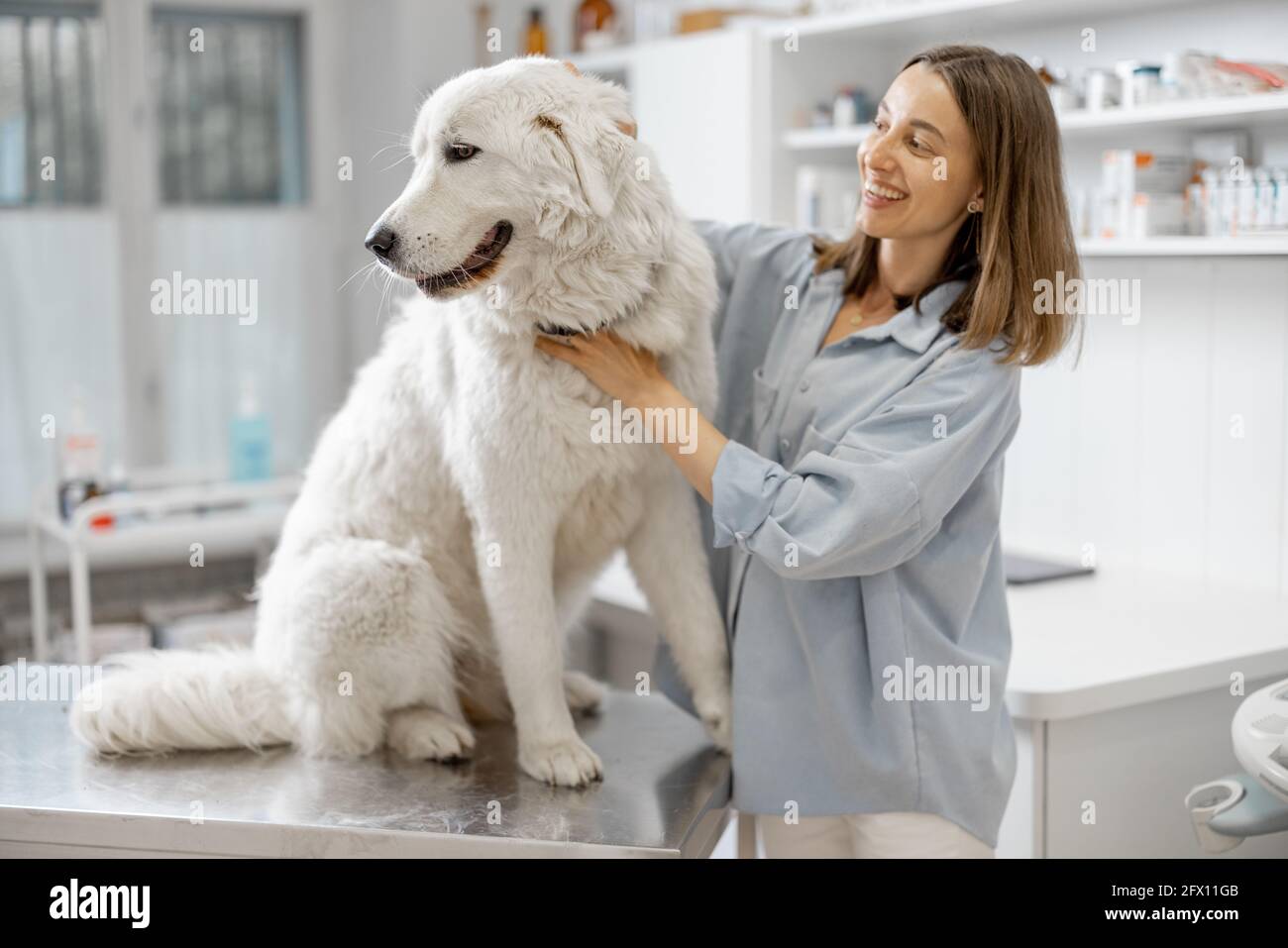 Happy female owner hugging and soothing cute big dog standing at examination table at vet clinic before doctor's examination. Pet care and visit a clinic. Stock Photo