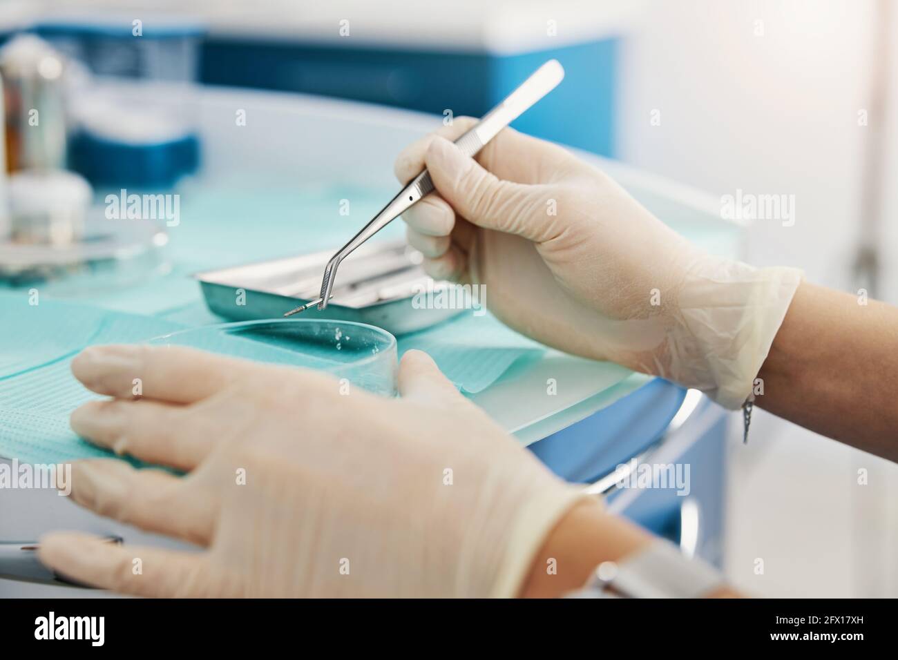 Cotton forceps holding one bur and putting it in plate Stock Photo Alamy
