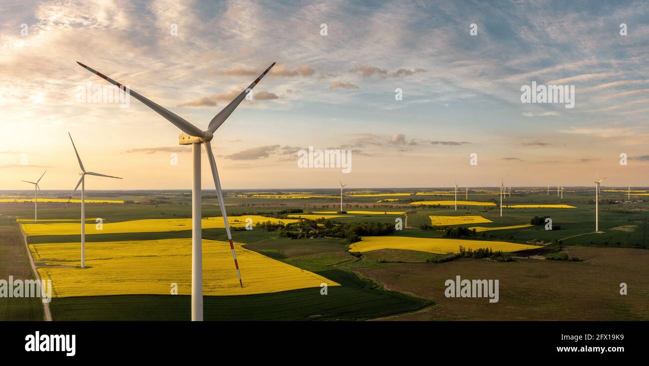 Panoramic aerial view of wind turbienes at the sunset with copy space Stock Photo