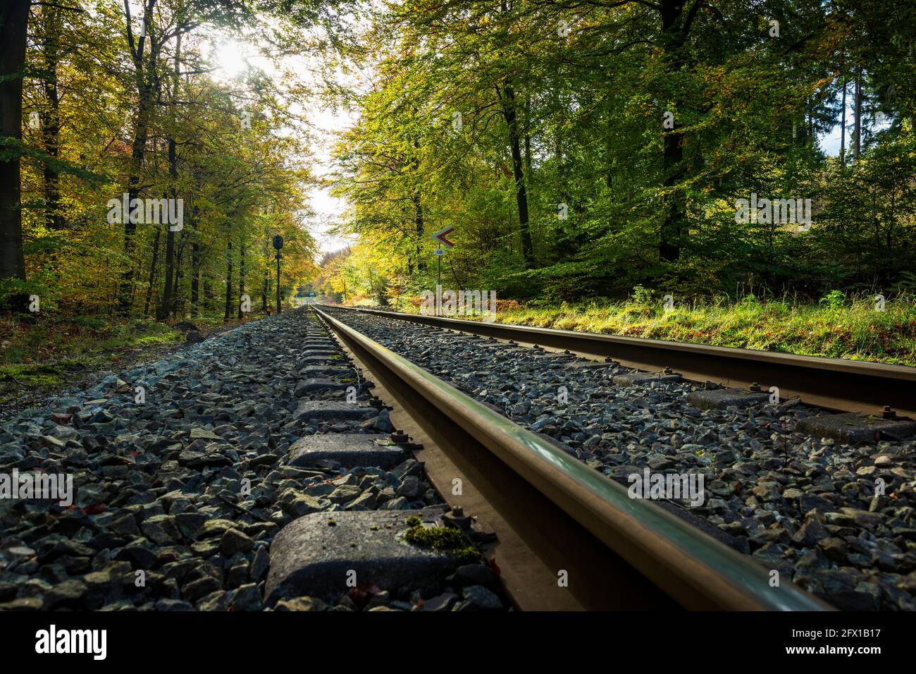 Railroad tracks in Gribskov Forest near Copenhagen, Denmark Stock Photo