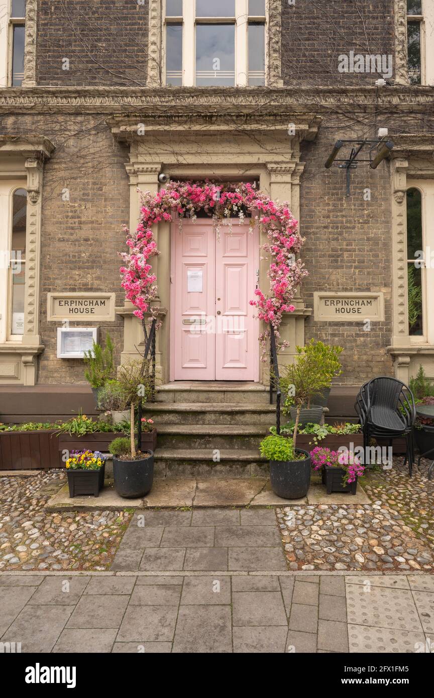 A view of Erpingham house with pink doors and pink flower all around on Tombland Stock Photo