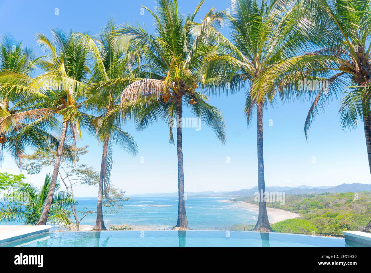 Luxurious view from the villa pool to a pacific coast of Costa Rica through a row of palm trees. Stock Photo