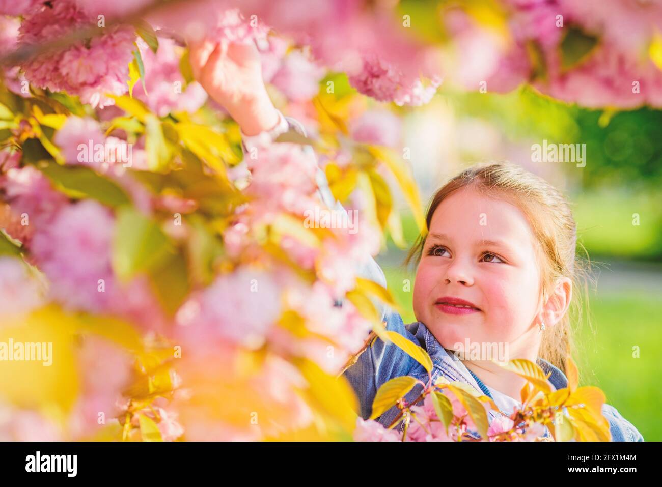 happy girl in cherry flower. Sakura tree blooming. blossom smell
