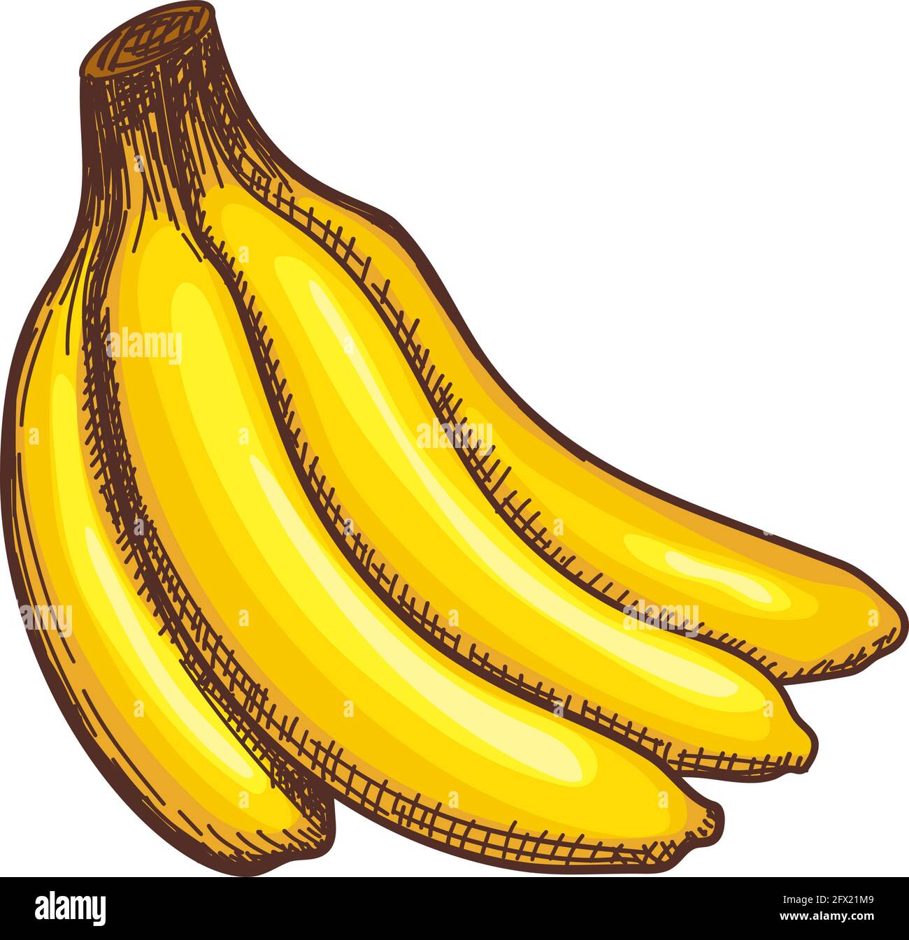 Icon Of Banana. Hand Drawn Sketch Design. Vector Illustration. Stock Vector