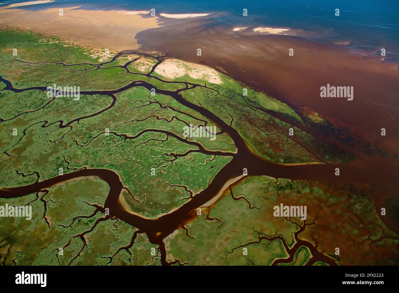 FRANCE  MANCHE (50) VEYS BAY.  FLIGHT ABOVE THE SHORES OF COTENTIN THE POLDERS THAT SURROUND IT CONSTITUTE A WETLAND FOR THE BIRDS Stock Photo