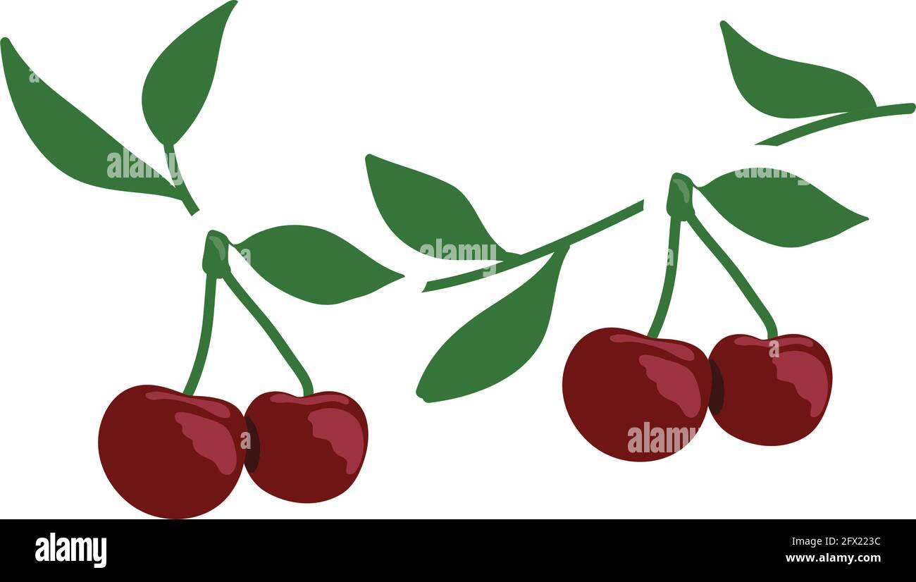 cherry branch with leaves, , graphic design element Stock Vector
