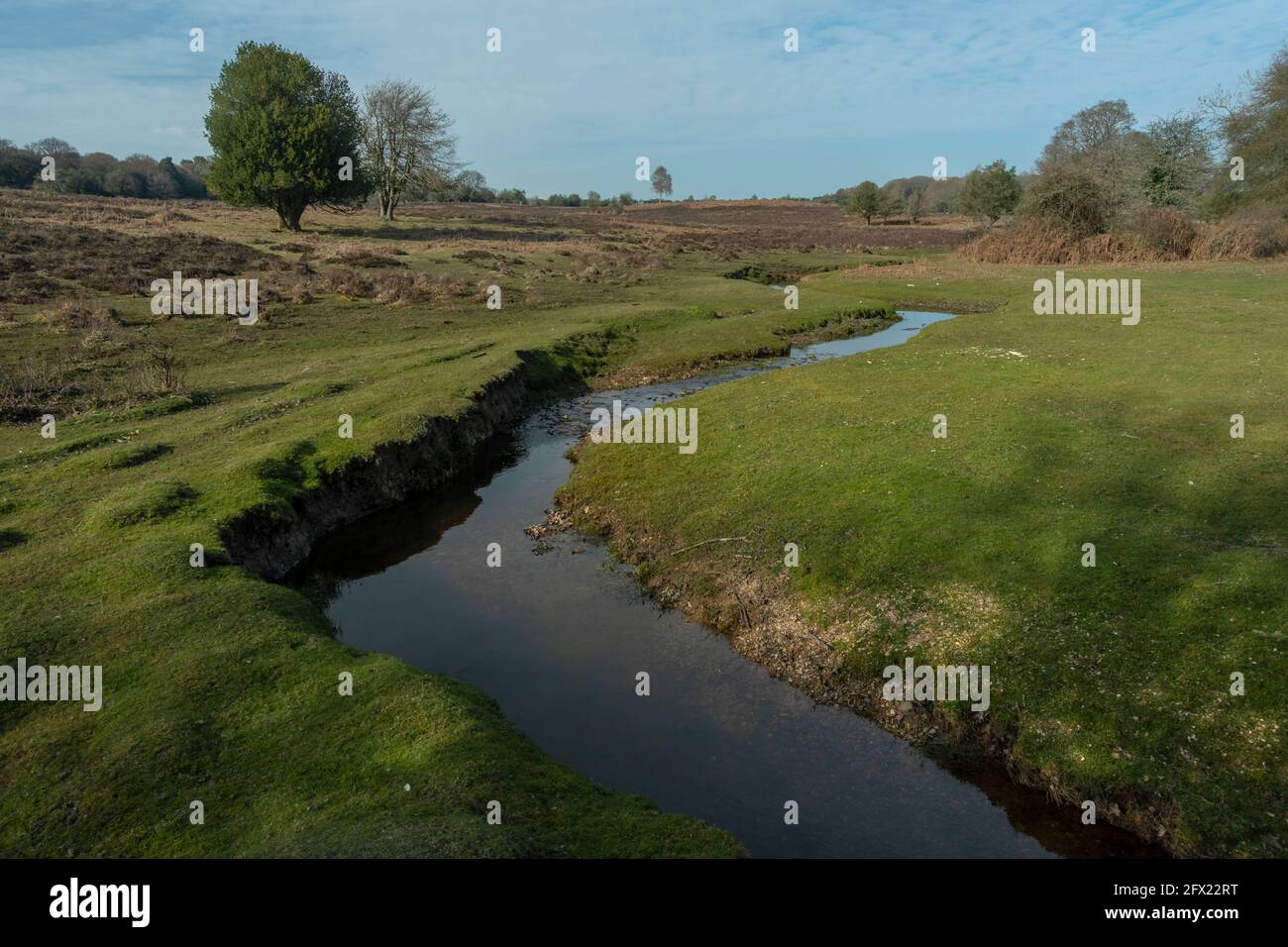 Beautiful unspoilt river headwaters - the Dockens Water at Rakes Brakes Bottom, New Forest, Hampshire. Stock Photo