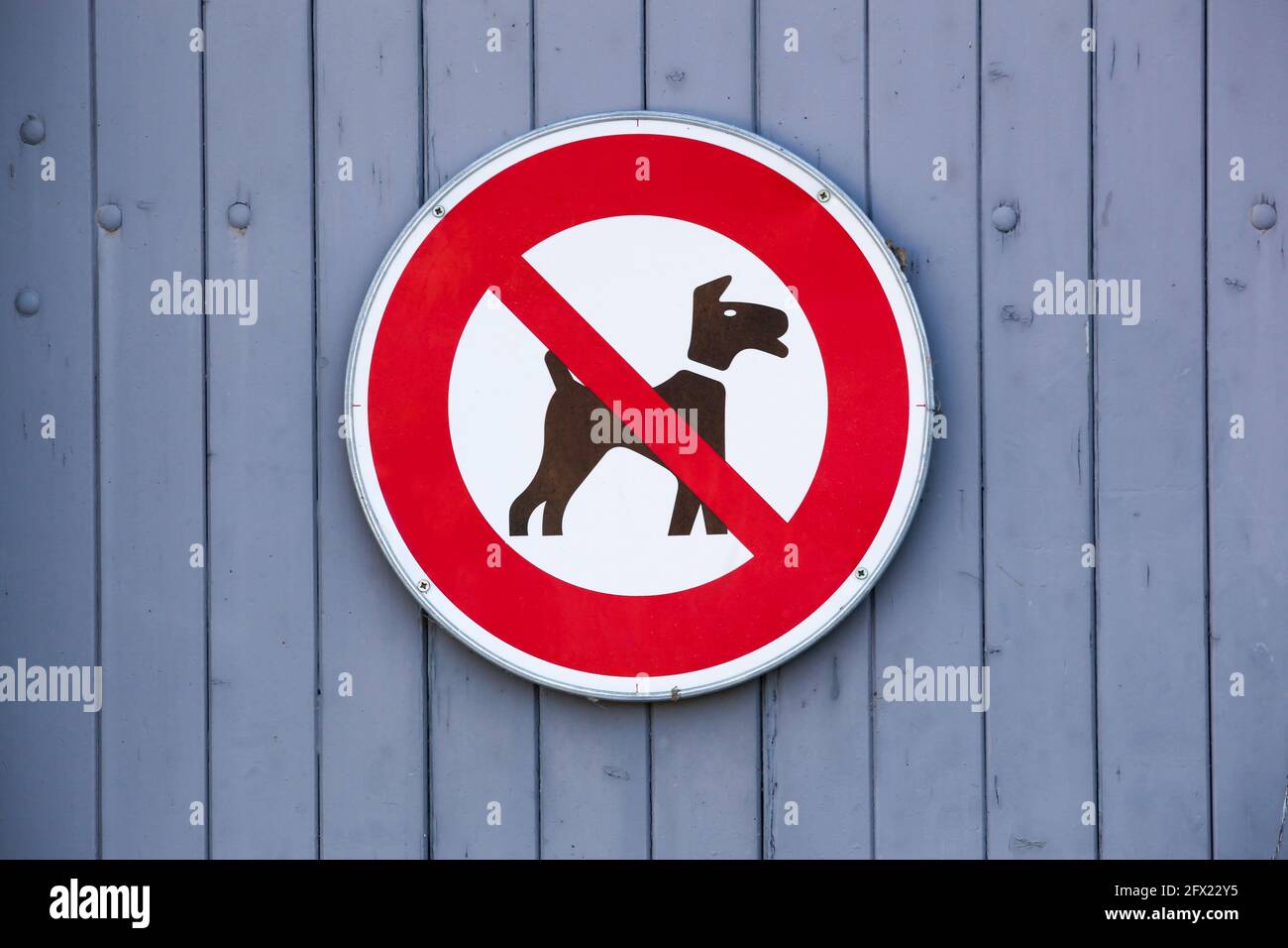 No dogs allowed sign on a wall Stock Photo