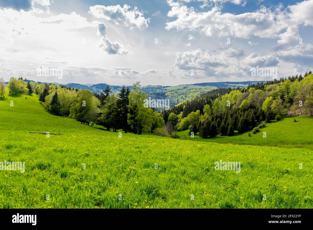 Springlike awakening along the Rennsteig in the most beautiful sunshin Stock Photo