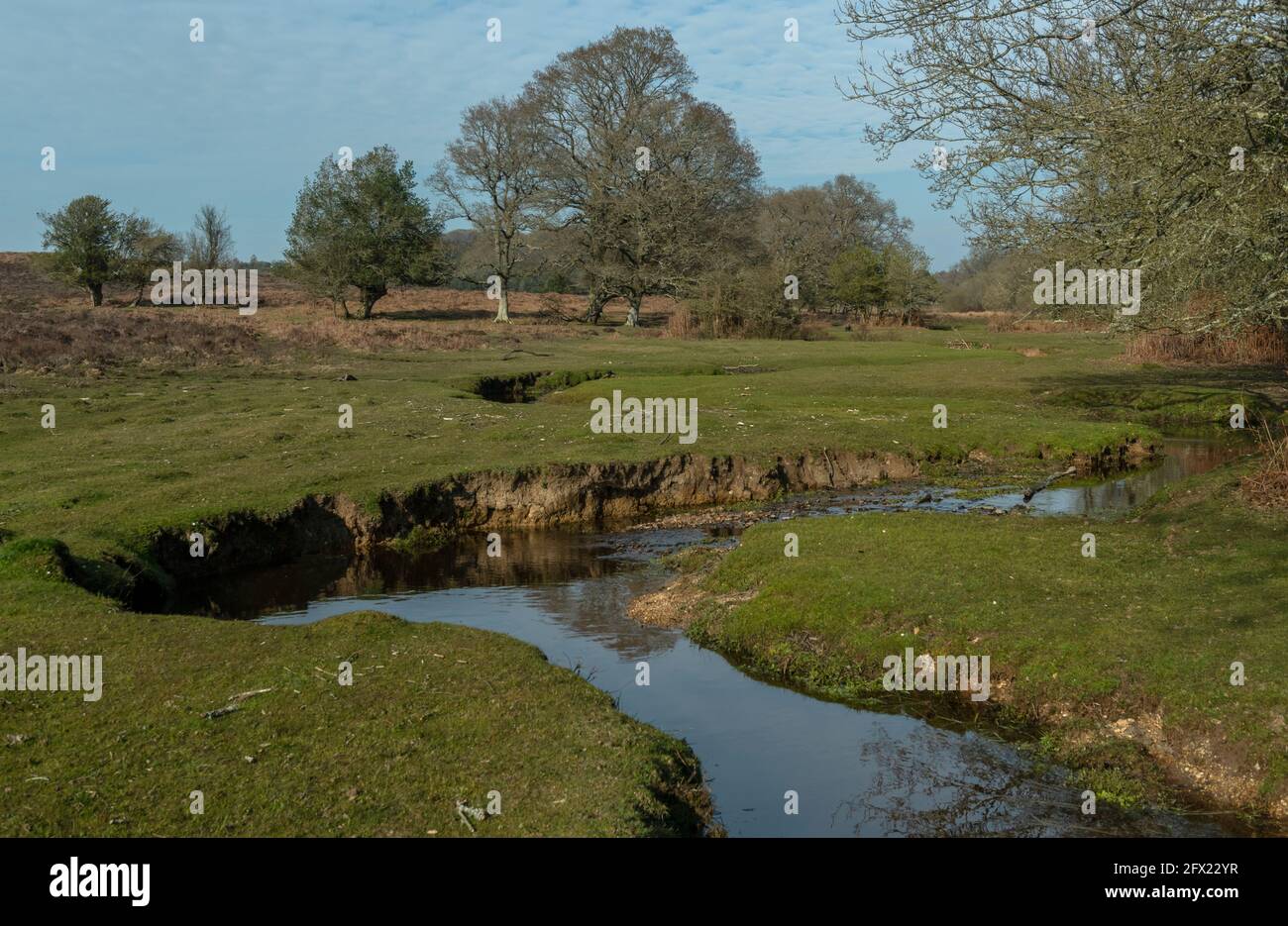 Beautiful unspoilt river headwaters - the Dockens Water at Rakes Brakes Bottom, New Forest, Hampshire. Stock Photo