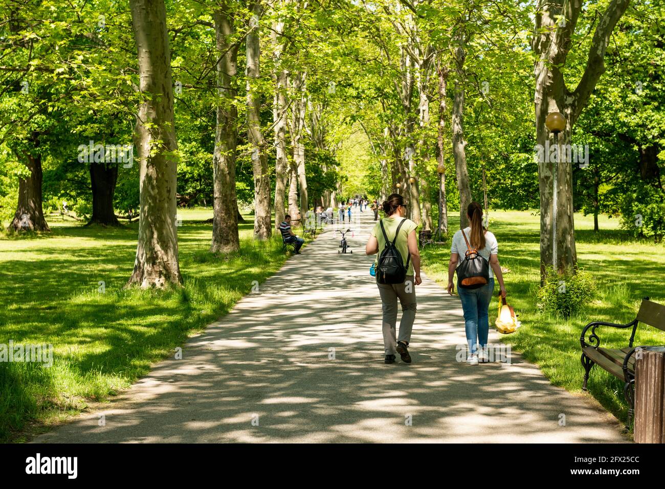 People on the main park alley leading to the Vrana Royal Palace near Sofia, Bulgaria as of May 2021 Stock Photo