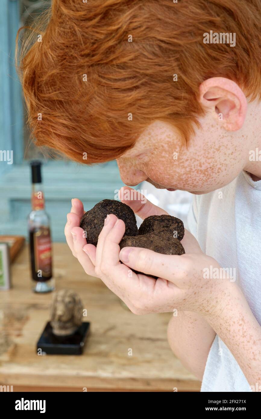 A young boy sniffing the earthy smell of freshly dug black truffles. Stock Photo