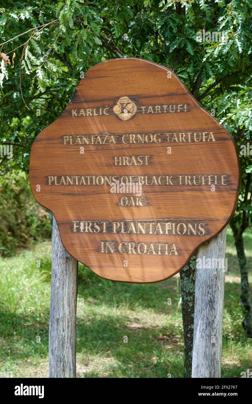 A sign at Karlic Tartufi which was the first Truffle plantation in Croatia. Stock Photo