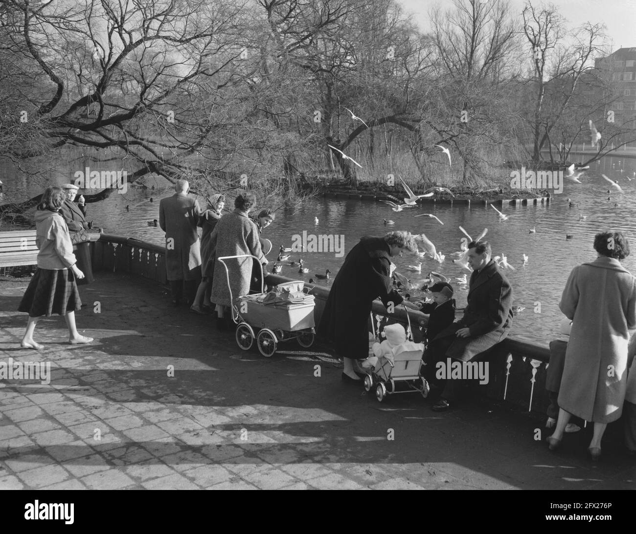 Spring weather in the Vondelpark, January 26, 1959, The Netherlands, 20th century press agency photo, news to remember, documentary, historic photography 1945-1990, visual stories, human history of the Twentieth Century, capturing moments in time Stock Photo