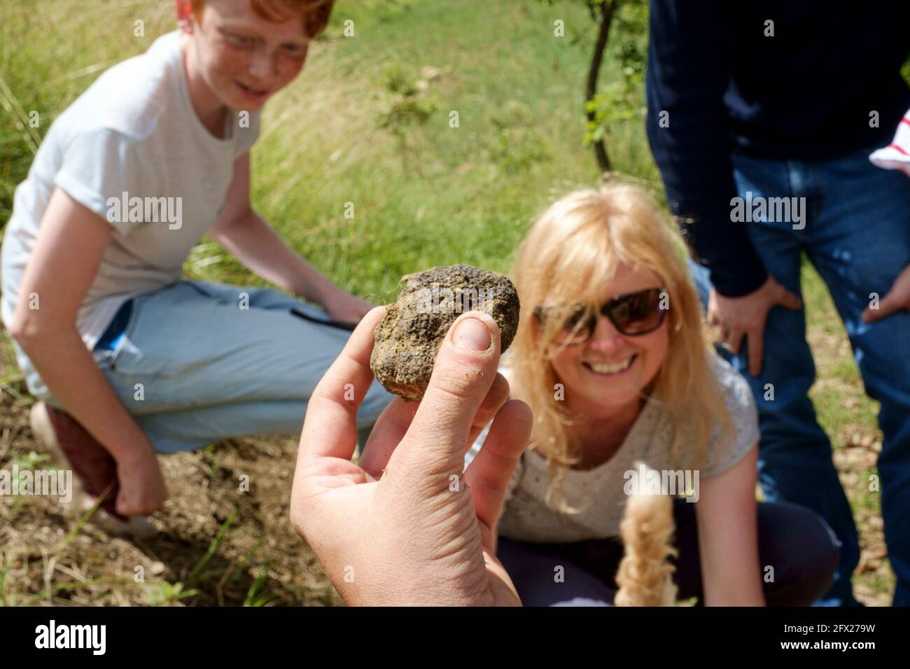 A guide holds a black truffle recently found on a tourist truffle hunt. Stock Photo