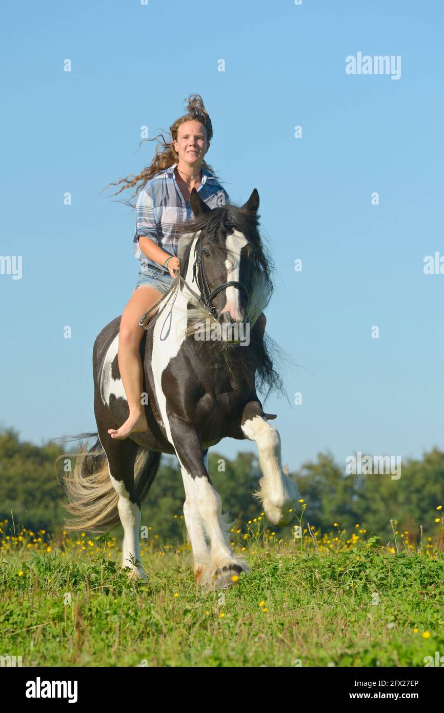 Young rider bareback on a an Irish Cob horse cantering in a meadow Stock Photo