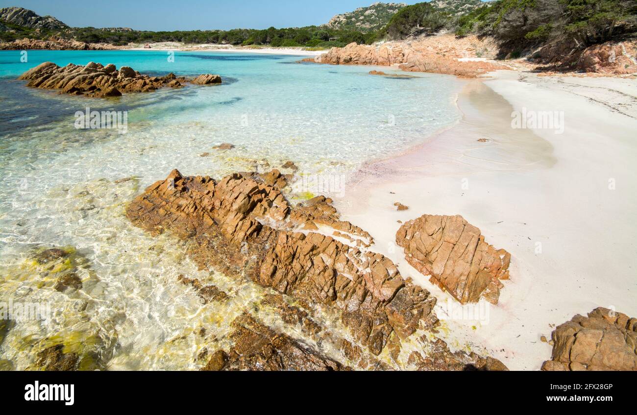 Spiaggia Rosa, isola di Budelli, Parco Nazionale Arcipelago di La Maddalena,  Sardegna Stock Photo - Alamy