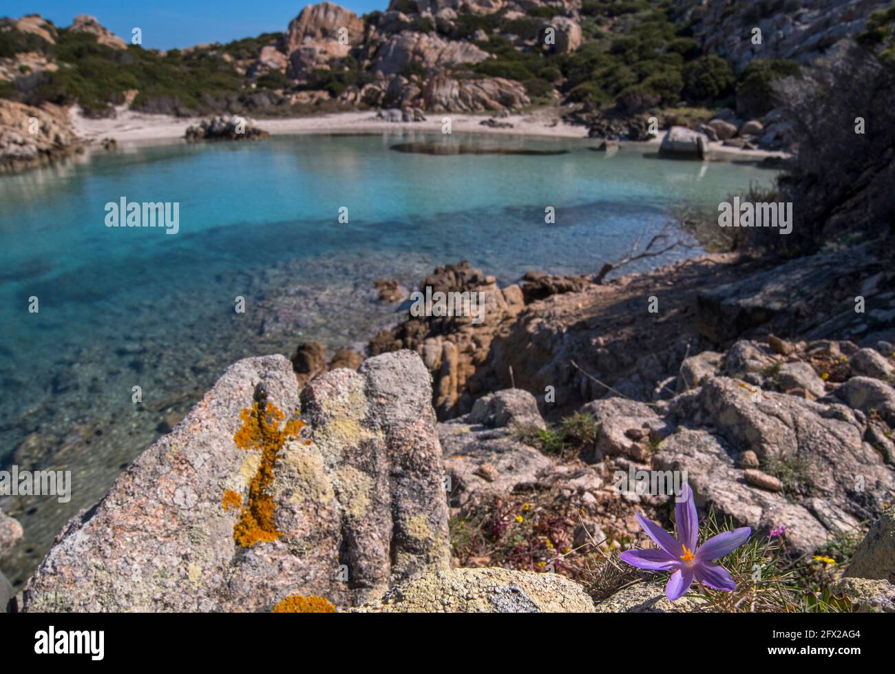 Parco Nazionale Arcipelago di La Maddalena, isola di Caprera, Cala Napoletana Stock Photo
