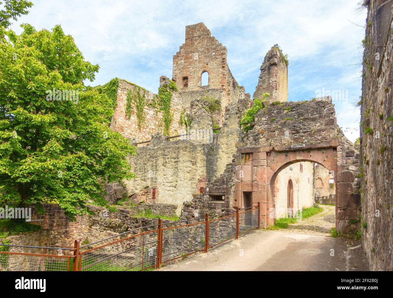 Hochburg Castle, near Emmendingen at the foothills of the Black Forest, is one of the largest ruined castles in the Upper Rhine Valley Stock Photo