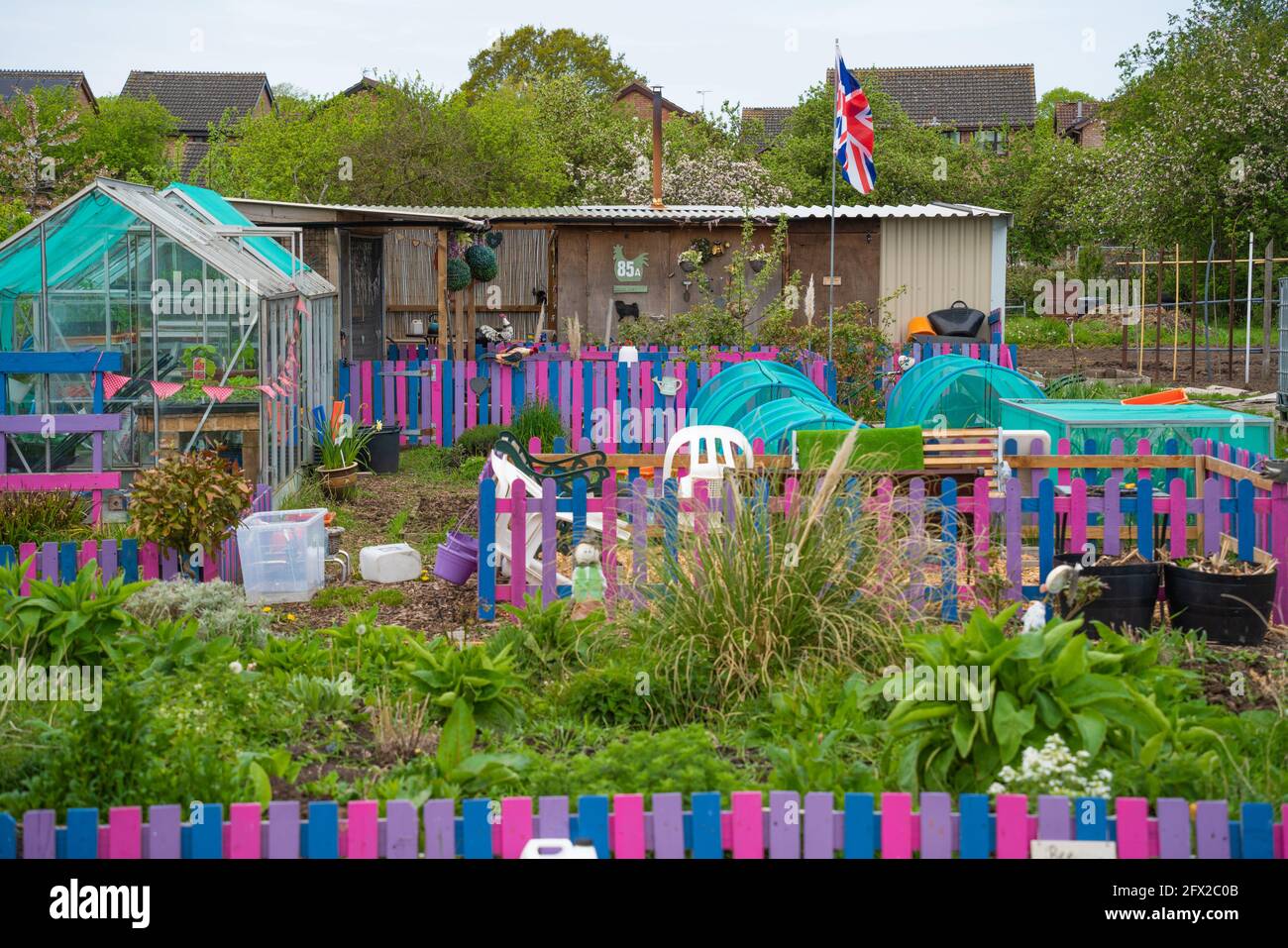 Allotment, vegetable, patch, compost heap, cabbage patch, planning