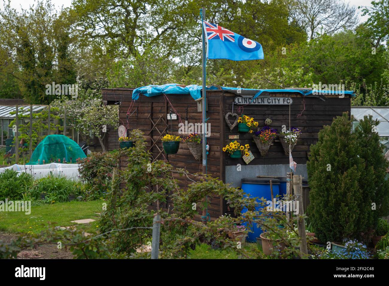 Allotment, vegetable, patch, compost heap, cabbage patch, planning