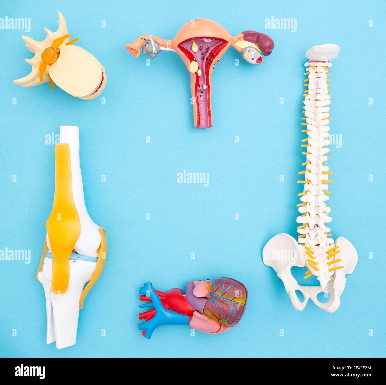 Organs Function Background Human organs layouts on a blue background. The concept of disorders of ...