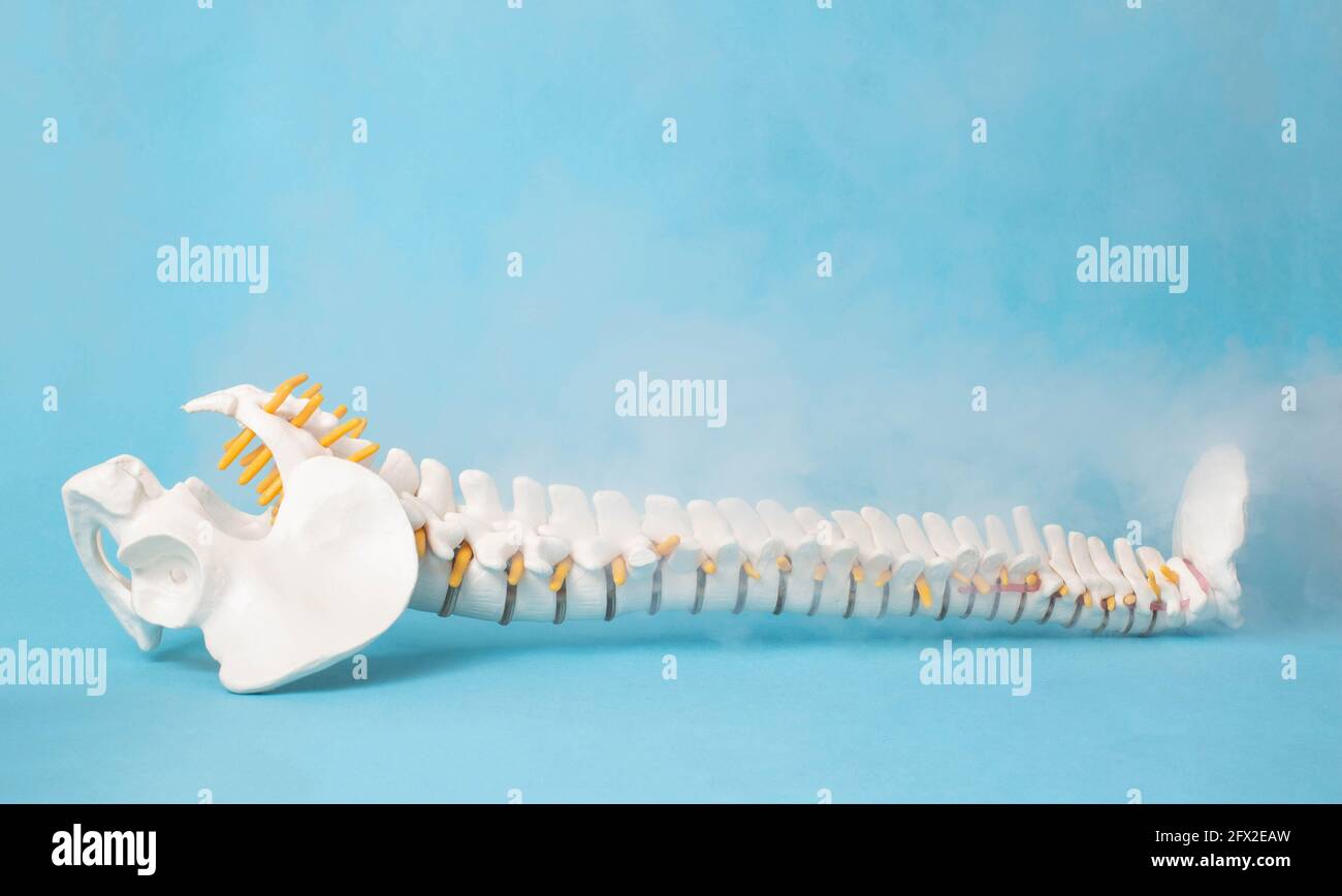 duplicate skeleton spine2d