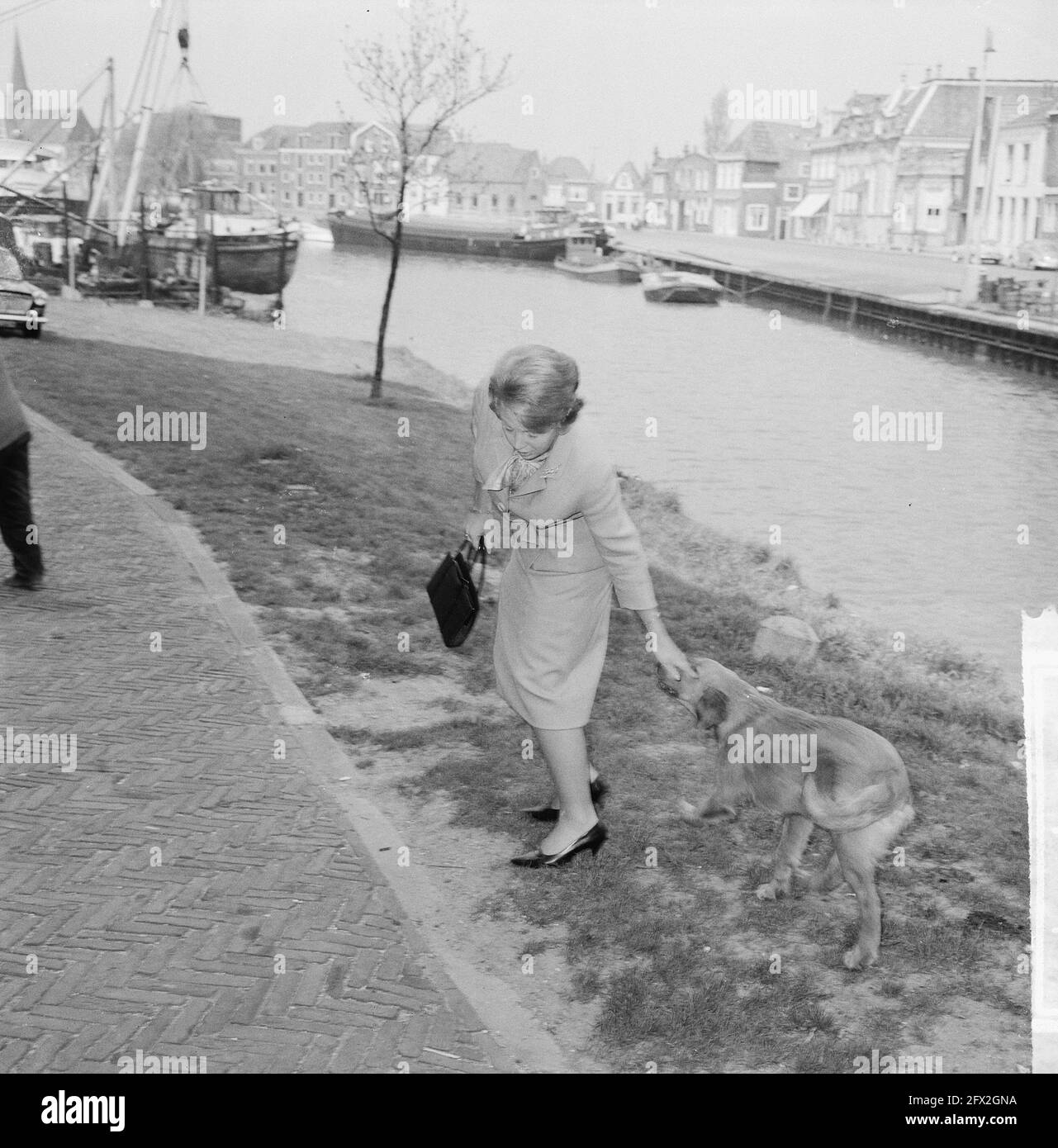 Princess Beatrix meeting attended in the Dromedaris Enkhuizen, the Princess with dog, May 9, 1964, princesses, The Netherlands, 20th century press agency photo, news to remember, documentary, historic photography 1945-1990, visual stories, human history of the Twentieth Century, capturing moments in time Stock Photo