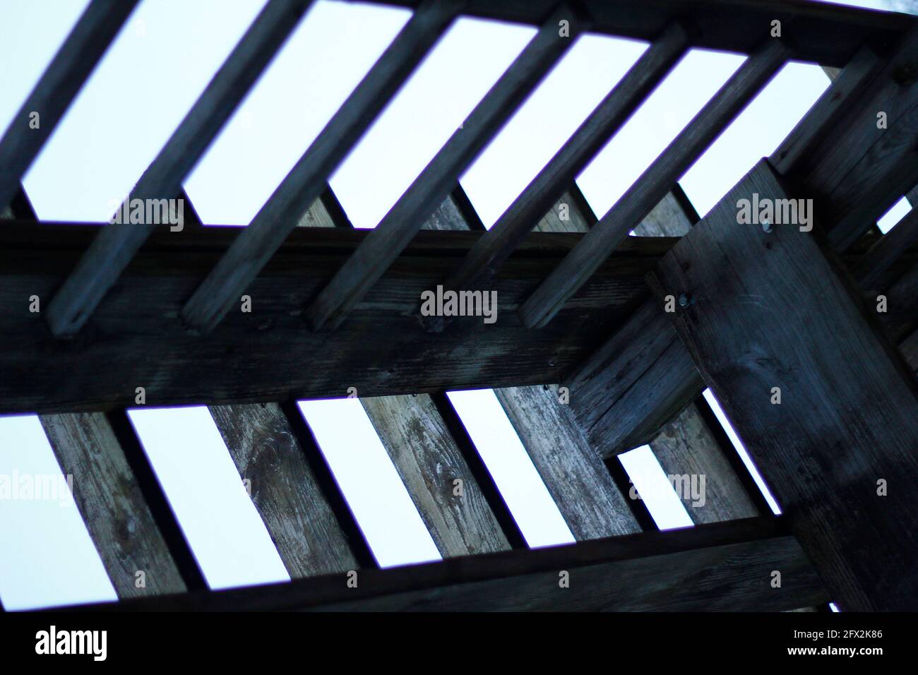 Park of Roses, Columbus, Ohio Stock Photo Alamy