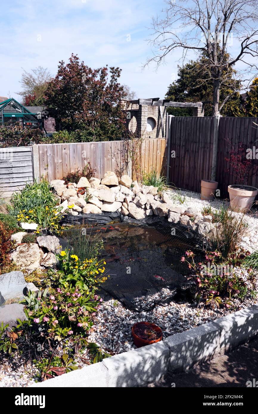 SMALL WILDLIFE POND IN A DOMESTIC BACK GARDEN. UK. Stock Photo
