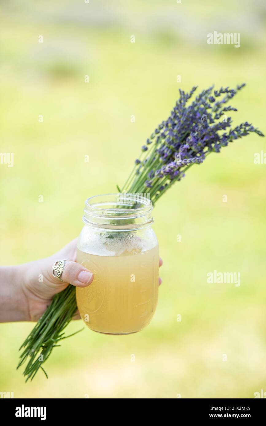 A caucasian woman wearing a silver thumb ring holds a jar of fesh lemonade and small bouquet of freshly harvested lavender. Blooming Meadow, Countrysi Stock Photo