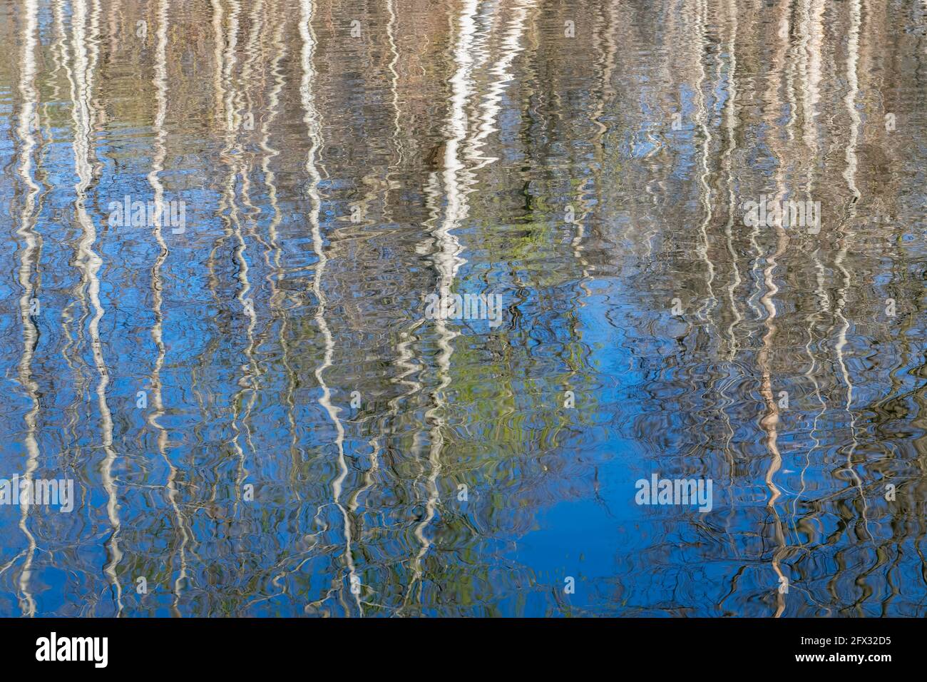 Tree reflections in Thomas Lake, Eagan, Minnesota. Mid-April. Stock Photo