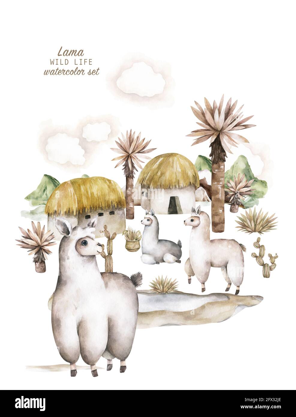 Baby Shower for boy, girl. Cute llamas alpaca characters smiling, walking, in Peru desert landscape with cactuses. Mexican funny lama animal family Stock Photo