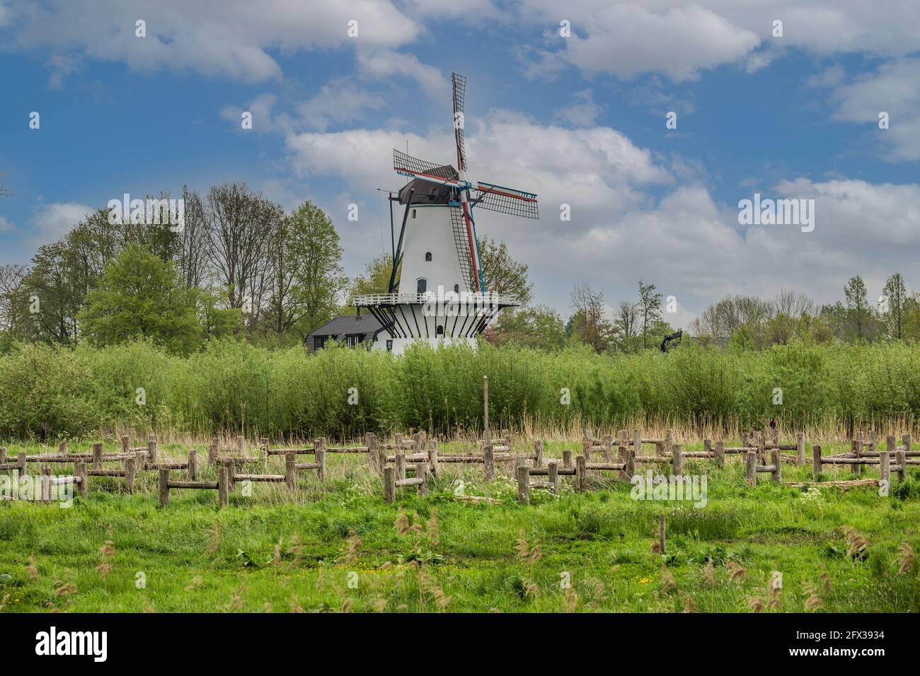 Mill de Vlinder, Appeldijk 4, Deil, Province of Gelderland, Netherlands, May 11, 2021: De Vlinder windmill built in 1913 along the river Linge near th Stock Photo
