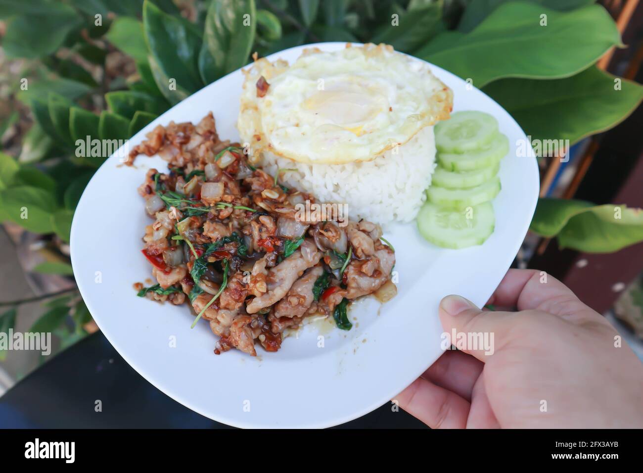 stir fried pork with holy basil, rice and sunny side up egg for serve Stock Photo