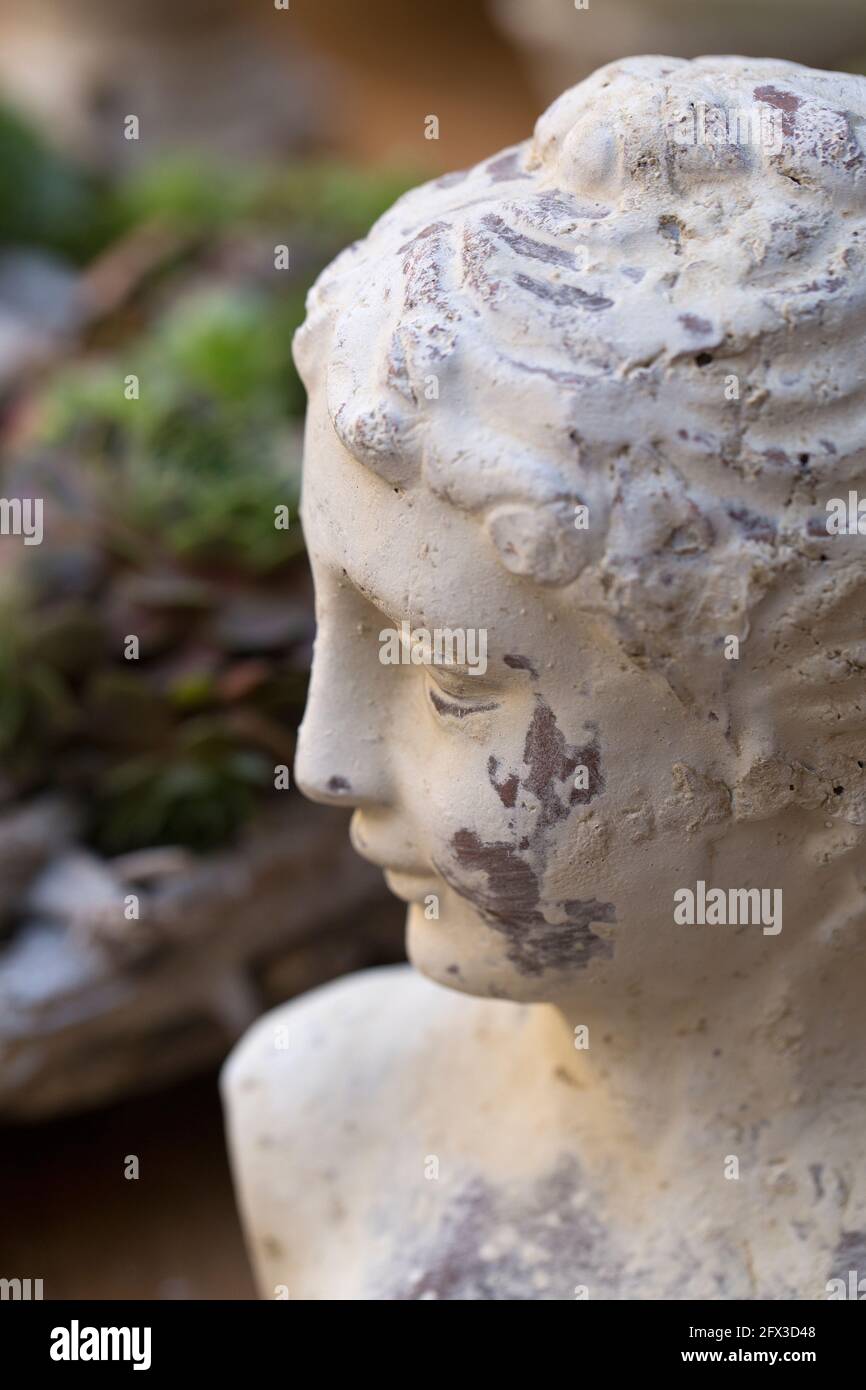 Old stone bust of a young woman Stock Photo