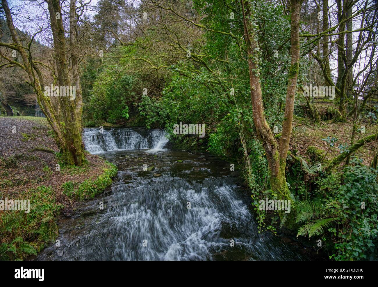 Glencar Waterfall, Co.Leitrim, Ireland Stock Photo