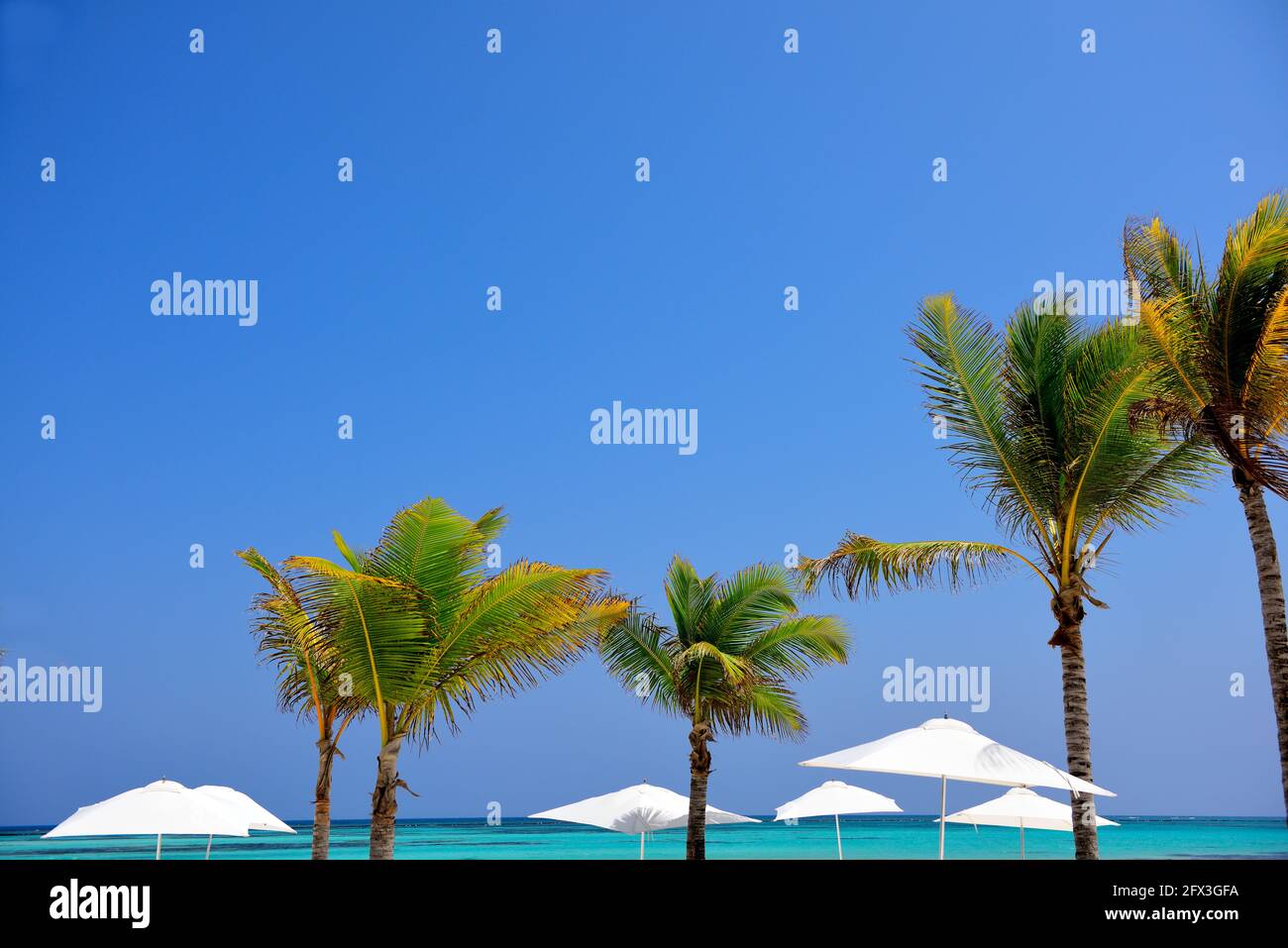 Beach blue sky sea palm trees sunny hi-res stock photography and images ...