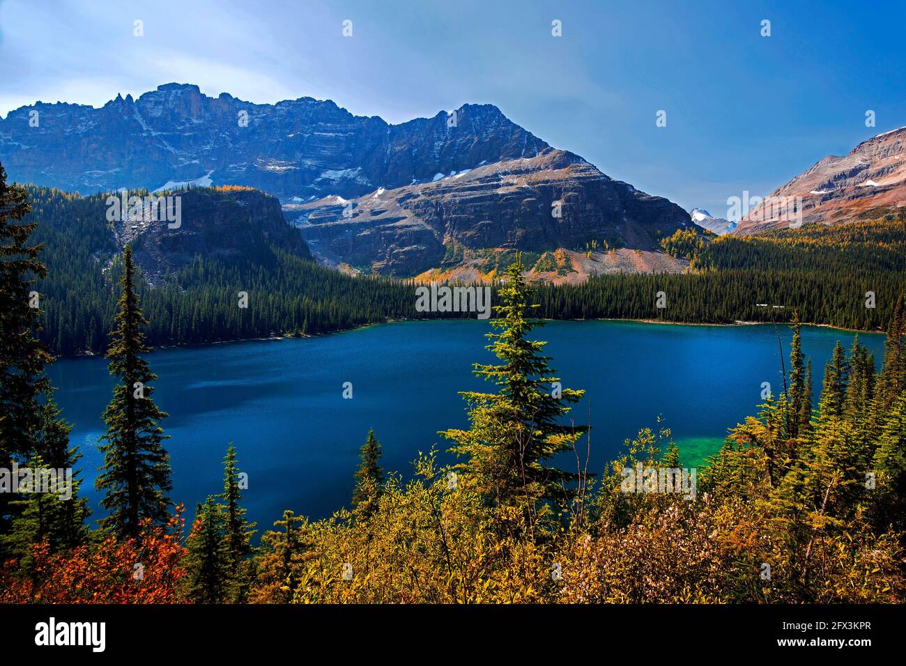 Lake O'Hara, Yoho National Park, British Columbia, Canada Stock Photo